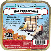 Pine Tree Farms Suet Cake