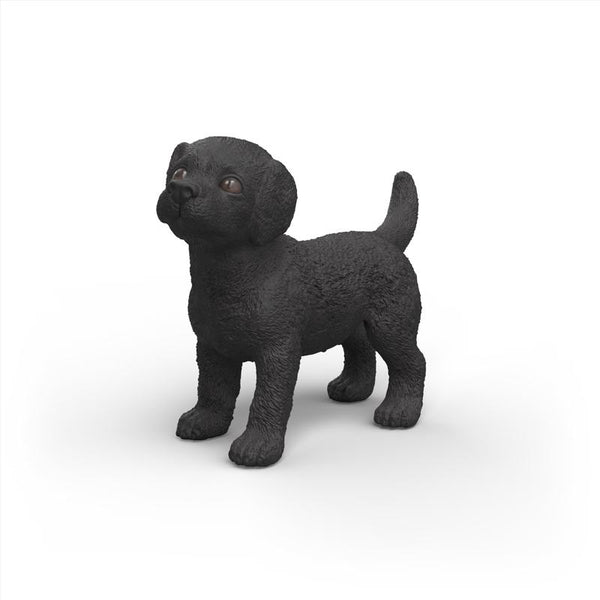 FGRN TY LBRDR RTRVR PPY (Pack of 5)