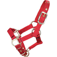 Hamilton Adjustable Miniature Horse Halter