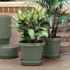 Bloem TerraPot 10.7 in. H X 12 in. D Resin Planter Living Green