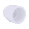 Charlotte Pipe Schedule 40 PVC Pipe Adapter (Pack of 25)