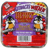 C&S Products Berry Treat Assorted Species Wild Bird Food Beef Suet 11.75 oz. (Pack of 12)