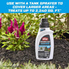 Ortho GroundClear Weed and Grass Killer Concentrate 32 oz.