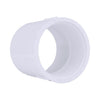 Charlotte Pipe Schedule 40 3 in. Slip X 3 in. D FPT PVC 3 in. Adapter 1 pk - Deal of The Week