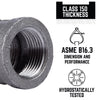 BK Products 1/8 in. FPT x 1/8 in. Dia. FPT Black Malleable Iron Coupling