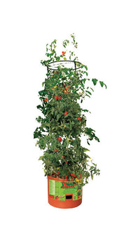 Hydrofarm 12 in. H x 14 in. W Teracotta Clay Plastic Tall Planter (Pack of 4)