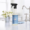 Mrs. Meyer's Clean Day Rain Scent Multi-Surface Cleaner Liquid Spray 16 oz (Pack of 6)