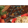 Celebrations LED T5 Warm White 50 ct String Christmas Lights (Pack of 12)