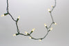 Celebrations Clear/Warm White Plug-In LED Mini Traditional 50-Bulb Christmas String Lights 12.25 ft.