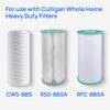 Culligan Whole House Filter System For Culligan (Pack of 2)