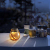 Feit Electric 5 in. Glass Crackle Jar Hanging Lantern Clear (Pack of 3)