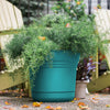 Bloem Saturn 6.5 in. H X 7 in. D Resin Planter Bermuda Teal
