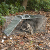 Havahart Large Live Catch Cage Trap For Cats and Raccoons 1 pk