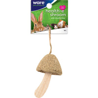 Health-E Schroom Chew Toy for Small Pets