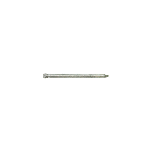Grip-Rite 12D 3-1/4 in. Common Hot-Dipped Galvanized Steel Nail Flat 1 lb. (Pack of 12)
