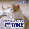 Resolve Pet Oxi Advanced No Scent Carpet Cleaner 22 oz. (Pack of 6)