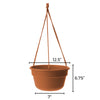 Bloem 6.8 in. H X 12.4 in. D Resin Dura Cotta Hanging Basket Terracotta Clay