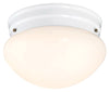 Westinghouse Polished Switch LED Light Fixture