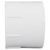 Charlotte Pipe Schedule 40 3 in. Hub X 3 in. D FPT PVC Pipe Adapter 1 pk