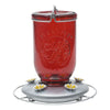 Perky-Pet Hummingbird 32 oz. Glass Nectar Feeder 5 ports (Pack of 2)