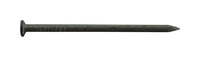 Pro-Fit 2 in. Common Bright Steel Nail Flat Head 1 lb
