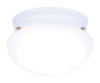 Westinghouse 4-3/8 in. H X 7-1/4 in. W X 7.25 in. L Ceiling Light - Deal of The Week