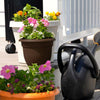 Bloem Terrapot Chocolate Resin UV-Resistant Bell Ariana Planter 6.5 H x 6 Dia. in.