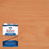 Thompson's Waterseal Transparent Sequoia Red Waterproofing Wood Stain and Sealer 1 gal.
