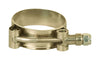 Apache  1.9 in. Dia. Stainless Steel  T-Bolt Clamp