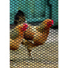 Tenax 3 ft. H X 25 ft. L Polyethylene Poultry Fence - Open Box