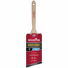 Wooster Gold Edge 3 In. W Angle Paint Brush - Deal of The Week
