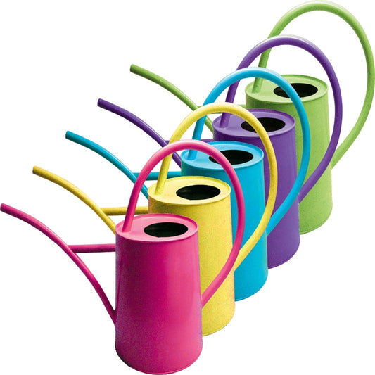 World Source Partners LLC Assorted Colors Powder Coated Galvanized Steel Watering Can 1/2 gal. 1 count