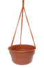Bloem Dura Cotta 6.8 in. H X 12.5 in. W X 12.4 in. D Resin Hanging Basket Terracotta Clay - Deal of The Week