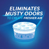 DampRid Moisture Absorber No Scent 2 lb 1 pk