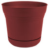 Bloem 4.5 in. H x 5 in. W Union Red Plastic Burnt Planter (Pack of 12)