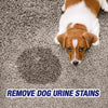 Resolve Fresh Scent Urine Eliminator 32 oz Liquid (Pack of 6)