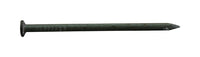 Pro-Fit 1-1/2 in. Common Bright Steel Nail Flat Head 1 lb