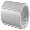 Genova Products 30127 3/4" PVC Sch. 40 Threaded Couplings (Pack of 10)
