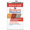 Thompson's Waterseal Smooth Clear Solvent-Based Multi-Surface Waterproofer 1.2 gal.