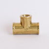 1/4 in. FPT X 1/4 in. D FPT Brass Tee (Pack of 5)