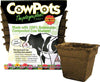 CowPots Seed Starter Pots 4 in Biodegradable Plantable Pots Made from Composted Cow Manure 12 pk