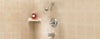 OakBrook 1-Handle Chrome Tub and Shower Faucet - Deal of The Week