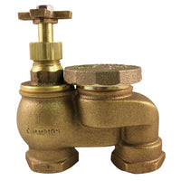 Champion Anti-Siphon Valve 3/4 in. 150 psi