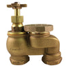 Champion Anti-Siphon Valve 3/4 in. 150 psi