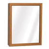 Zenna Home 19.25 in. H X 15.5 in. W X 4.5 in. D Rectangle Medicine Cabinet/Mirror