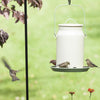 Perky-Pet Wild Bird 5 lb Metal Milk Pail Bird Feeder 5 ports (Pack of 2)
