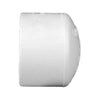 Charlotte Pipe Schedule 40 3/4 in. Socket x 3/4 in. Dia. Socket PVC Cap (Pack of 25)