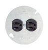Leviton 15 amps 125 V Brown Outlet 5-15R 1 pk - Open Box