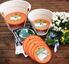 Bloem Ups-A-Daisy Orange Plastic 1 in. H Round Plant Insert 1 pk