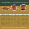 Bloem Terratray 8 in. Dia. Resin Peppercorn Tray (Pack of 20) - Deal of The Week